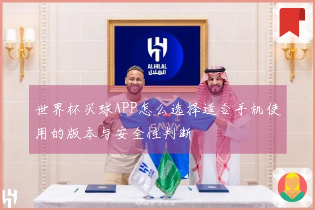 世界杯买球APP怎么选择适合手机使用的版本与安全性判断