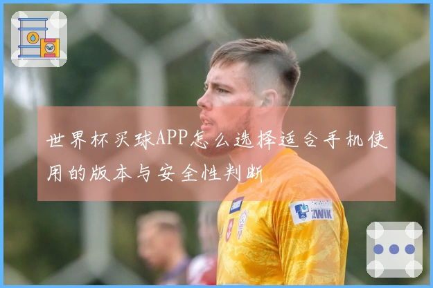 世界杯买球APP怎么选择适合手机使用的版本与安全性判断