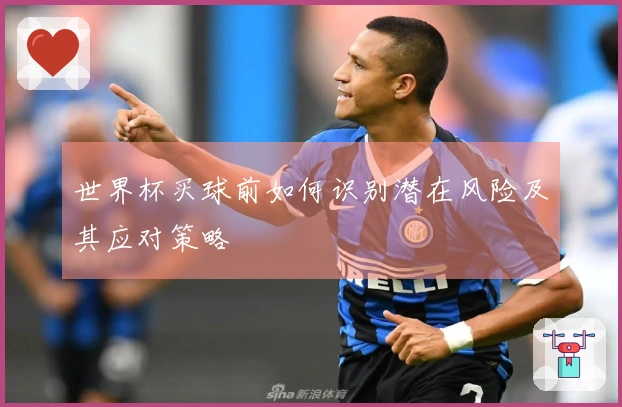 世界杯买球前如何识别潜在风险及其应对策略